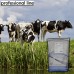 Добавка  Rumen Bufs для КРС и МРС (буфер рубца) Professional Line
