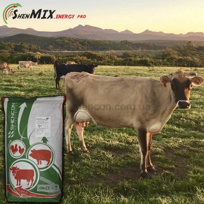 Сухой пропиленгликоль 70% гепатопротекторoм DLH Shen Mix Energy Pro