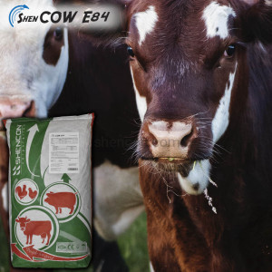 Енергетичний компонент Shen COW E 84  (99% захищений пальмовий жир)