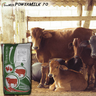 Енергетичний компонент ShenMIX PowerMilk 70   для корів (70% енергетичних компонентів) купити в Україні