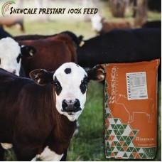 Комбикорм старт для телят ShenCalf.Prestart 100% Feed телята 0-6 месяцев, СП 17%, гранула 4,5 мм Комбикорм старт для телят ShenCalf.Prestart 100% Feed телята 0-6 месяцев, СП 17%, гранула 4,5 мм