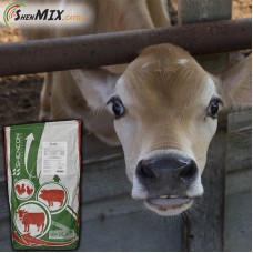 Витаминно-минеральный концентрат Shen Mix Cattle Pro 3%, телята 2-8 месяцев и нетели Витаминно-минеральный концентрат Shen Mix Cattle Pro 3%, телята 2-8 месяцев и нетели
