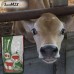 Вітамінно-мінеральний концентрат  Shen Mix Cattle