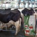 Вітамінно-мінеральний концентрат Shen Mix Cow Milk
