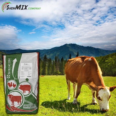 Вітамінно-мінеральний концентрат для сухостійних корів Shen Mix Cow Dry