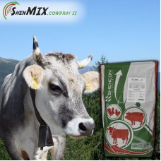 Вітамінно-мінеральний концентрат Shen Mix Cow Dry II для сухостійних корів Вітамінно-мінеральний концентрат Shen Mix Cow Dry II для сухостійних корів