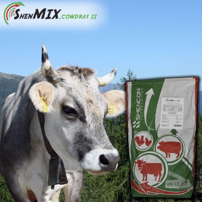 Вітамінно-мінеральний концентрат Shen Mix Cow Dry II