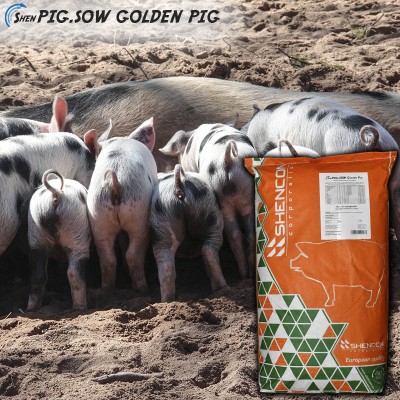 Білковий вітамінно-мінеральний концентрат  ShenPig Sow Golden Pig 10-20%