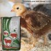 Білковий вітамінно-мінеральний концентрат Shen Chicken Layer Euro Standart 20-30%