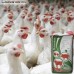 Комбікорм предстарт бройлери Shen Chicken Feed F05-3
