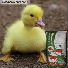 Комбикорм Profi старт утки и гуси Shen Chicken Feed F06-5, СП 19%, гранула 3,2 мм Комбикорм Profi старт утки и гуси Shen Chicken Feed F06-5, СП 19%, гранула 3,2 мм