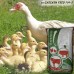 Комбікорм ріст та несучка качки та гуси Shen Chicken Feed F09-5