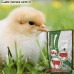 Вітамінно-мінеральний концентрат ShenMIX Chicken Layer 1%